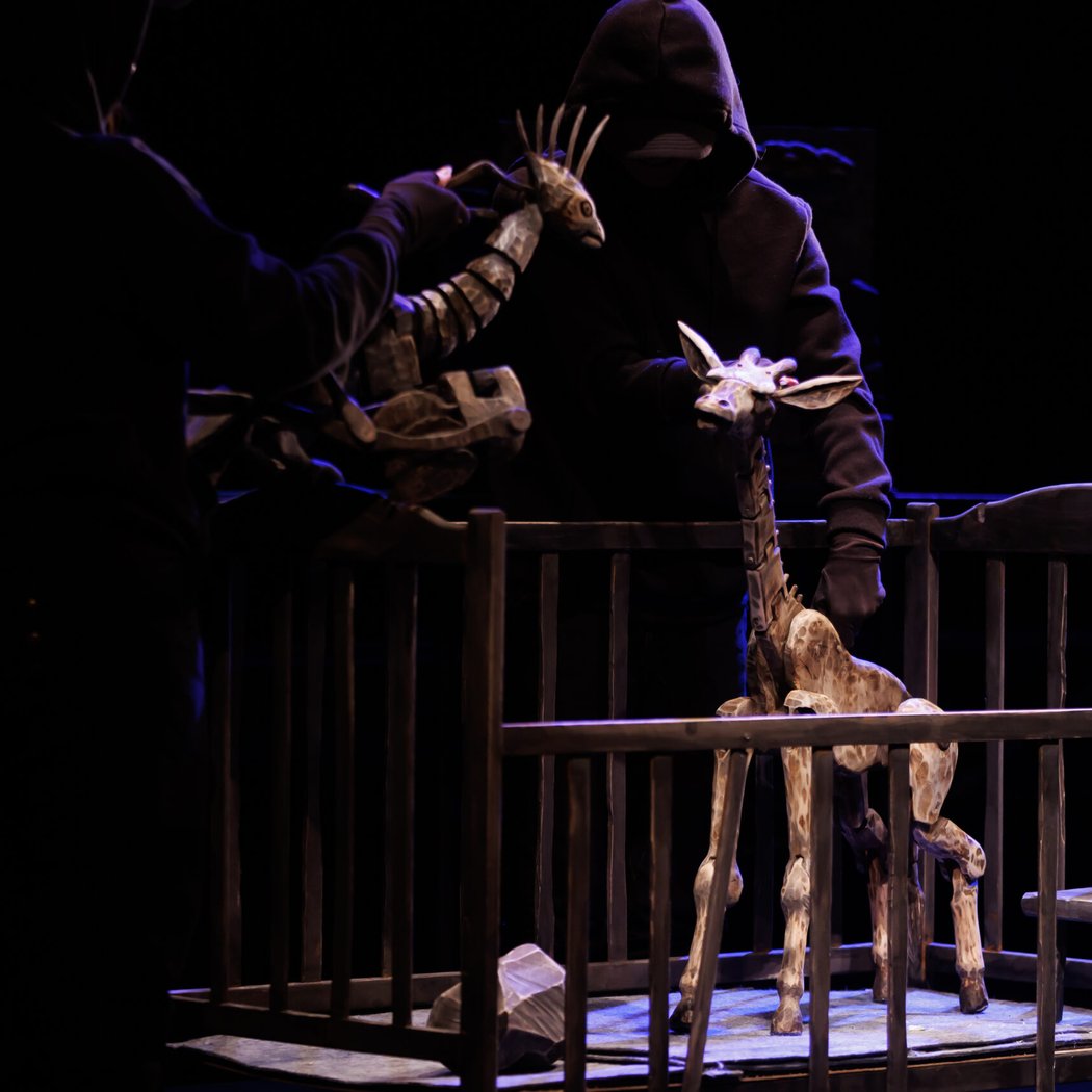 Mons la girafe 1