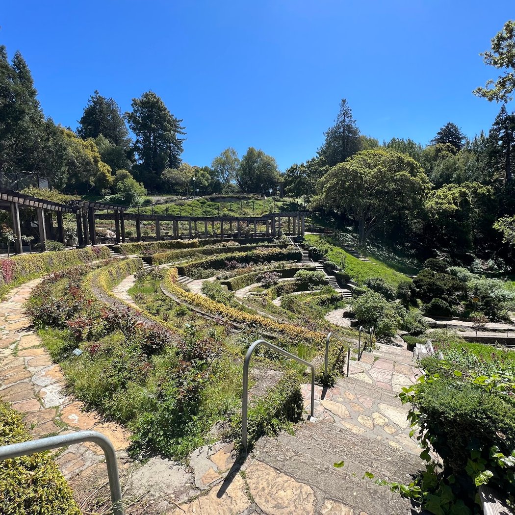 Rose Garden Tennis Courts 2