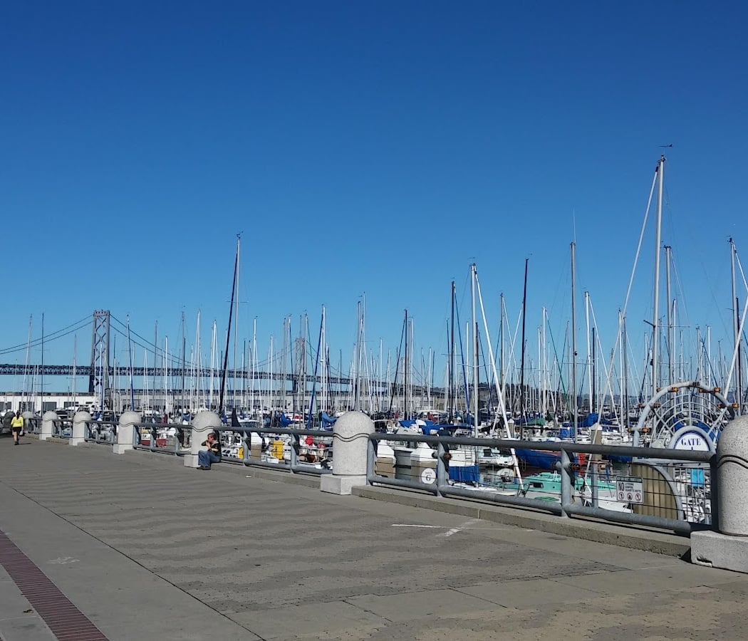 Pier 40 3