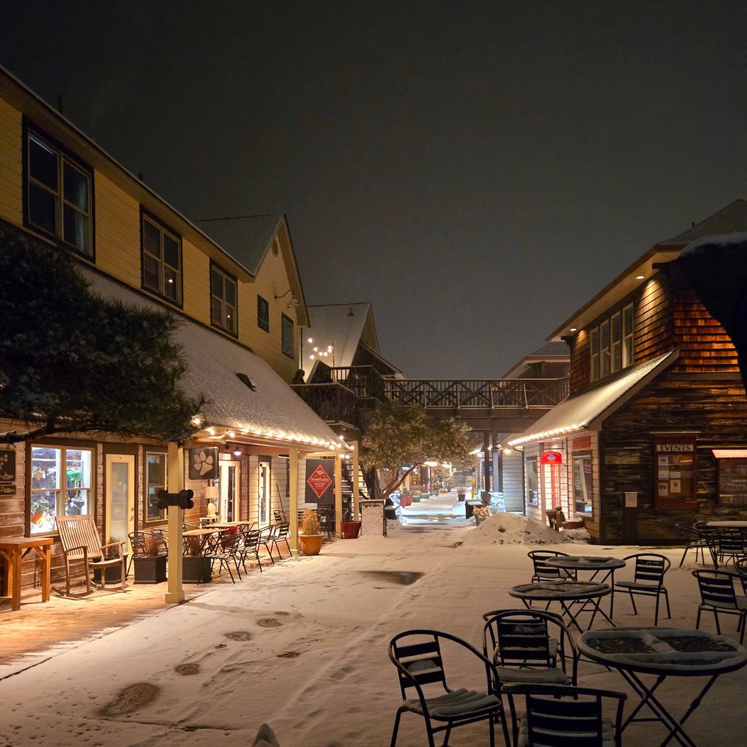 New Paltz Holiday Celebration 1