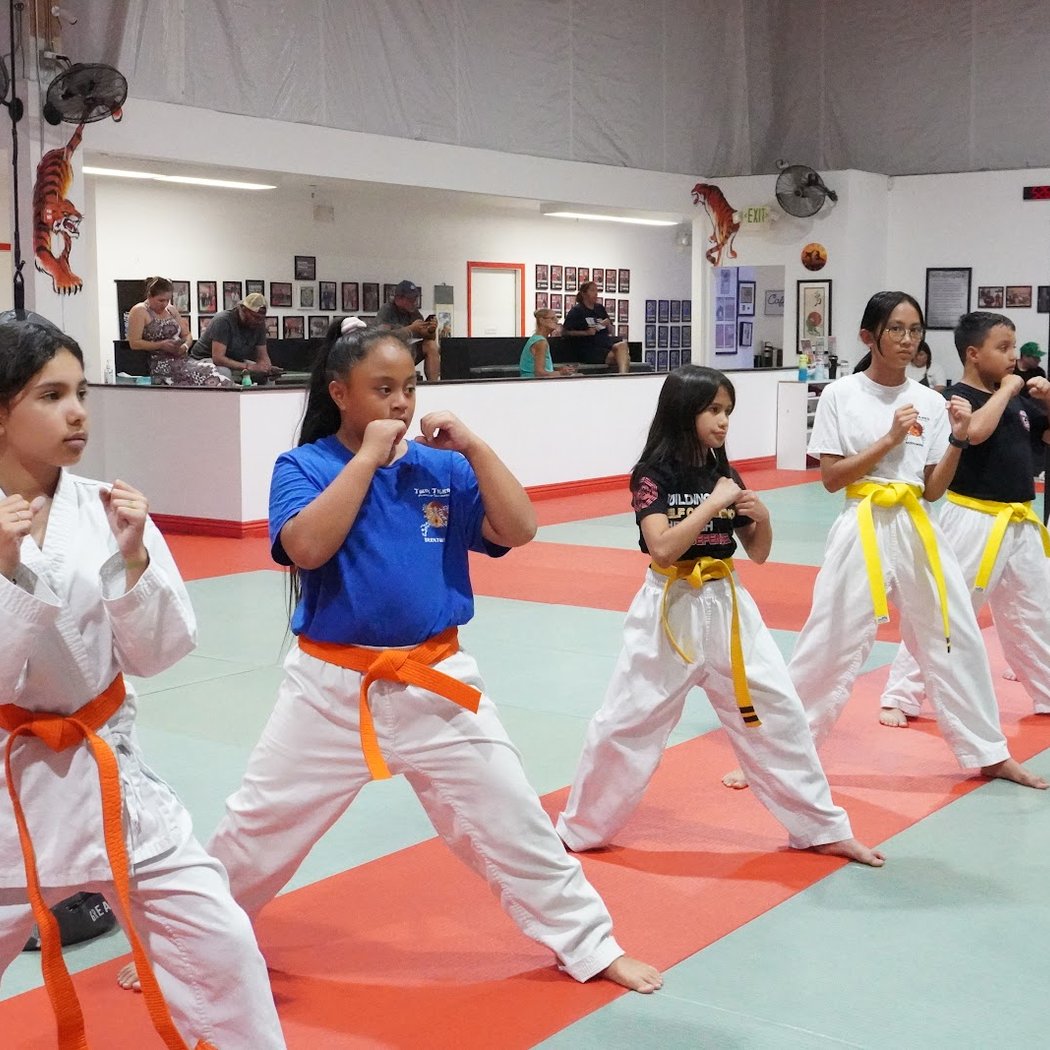 Twin Tigers Academy of Self Defense 1