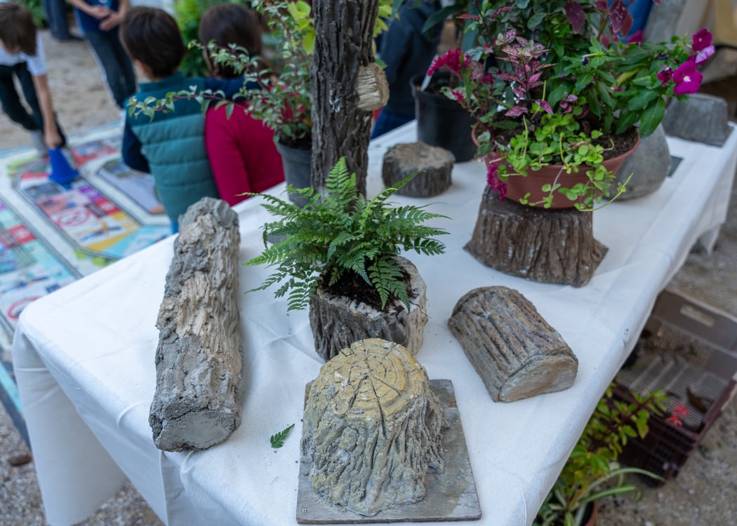 Fête des jardins : célèbre la nature en ville !