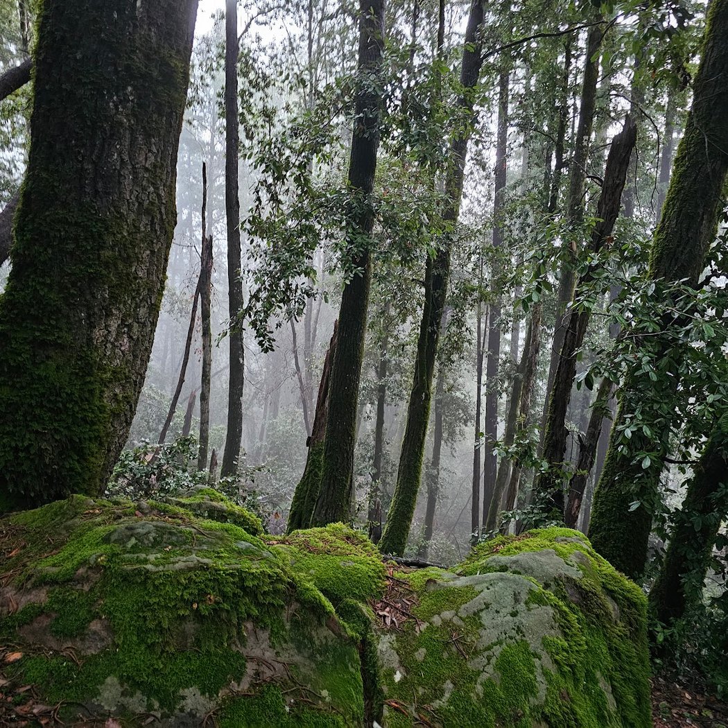 Teague Hill Open Space Preserve 1