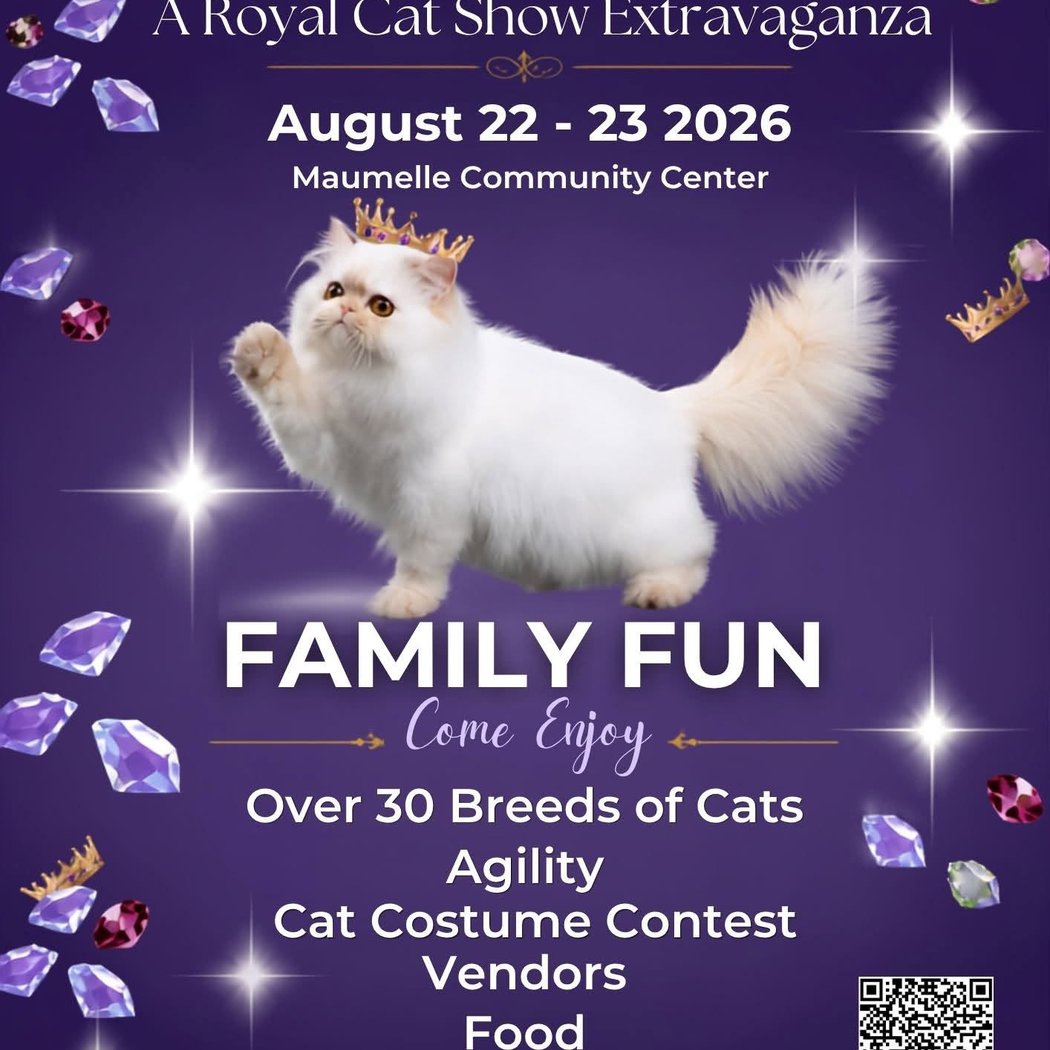 A Royal Cat Show Extravaganza 2