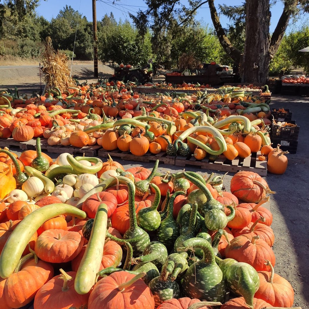 Hales Apple Farm 2