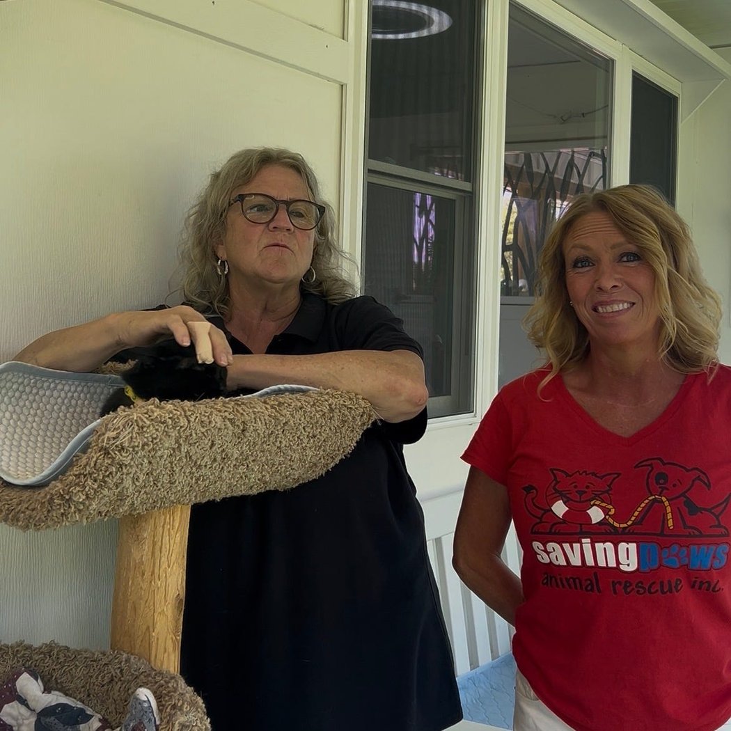 Saving Paws 20th Anniversary Celebration and Open House 1