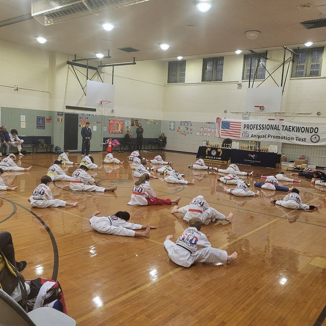 Professional Martial arts Taekwondo Center 2