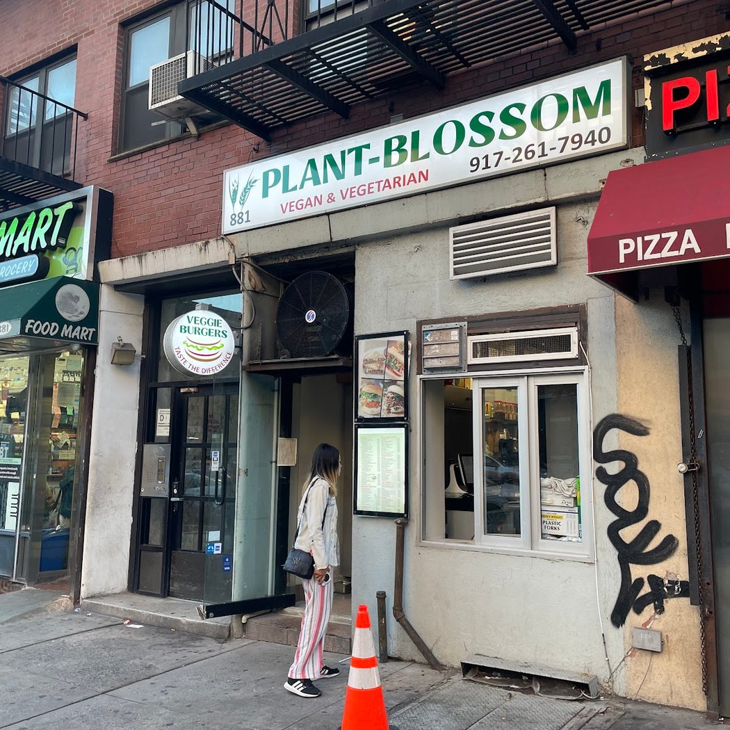 Plant-Blossom 2