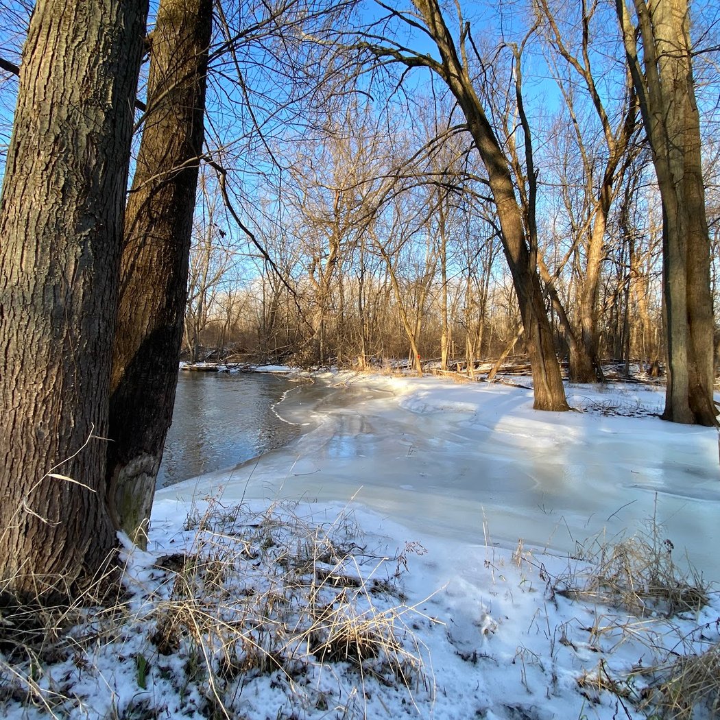 Sloan Preserve 1