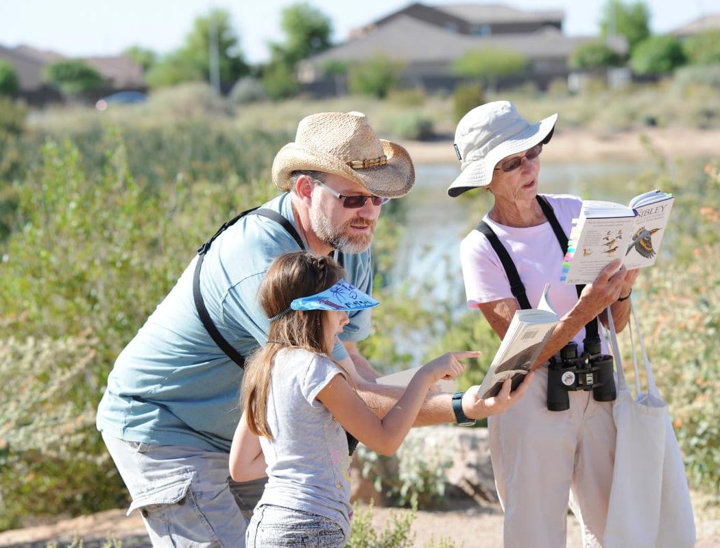 Birding Walk 1