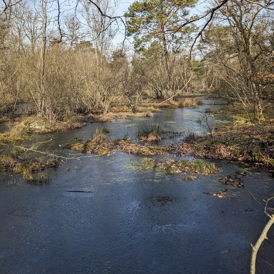 La Mare aux Fées 2
