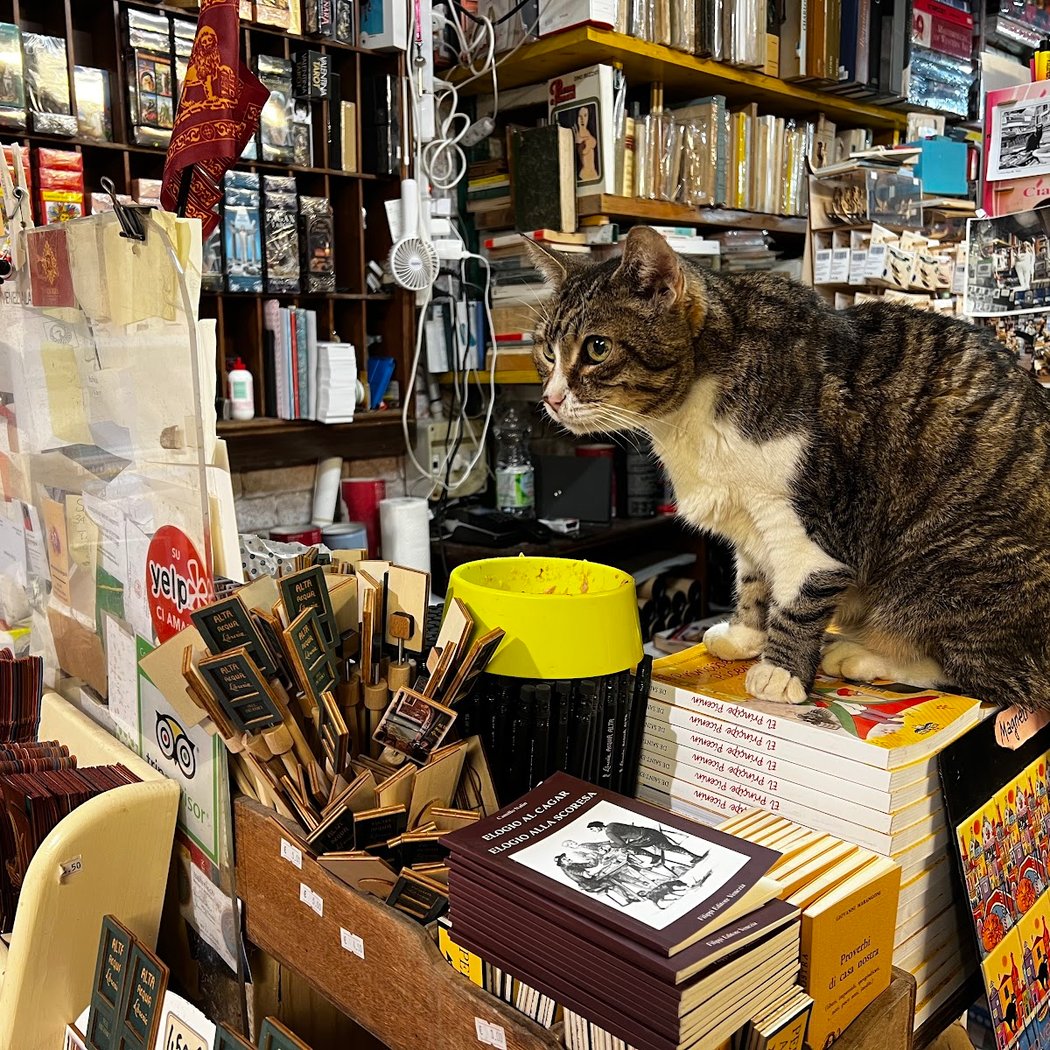 Libreria Acqua Alta 3
