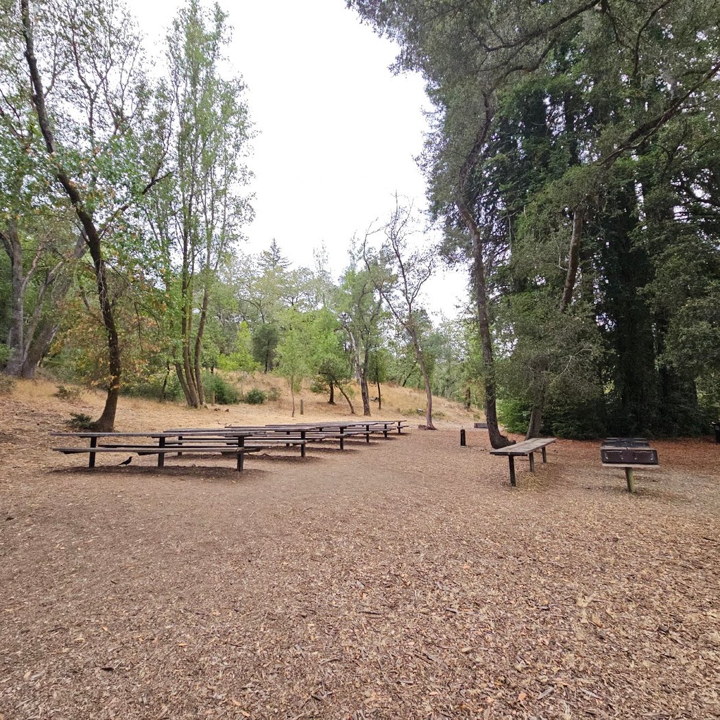 West Meadow Picnic Area 2