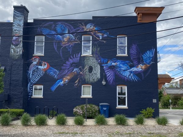 Bird Center of Michigan 1