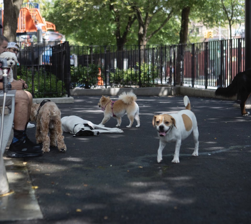 L/CPL Thomas P. Noonan Jr. Playground 2