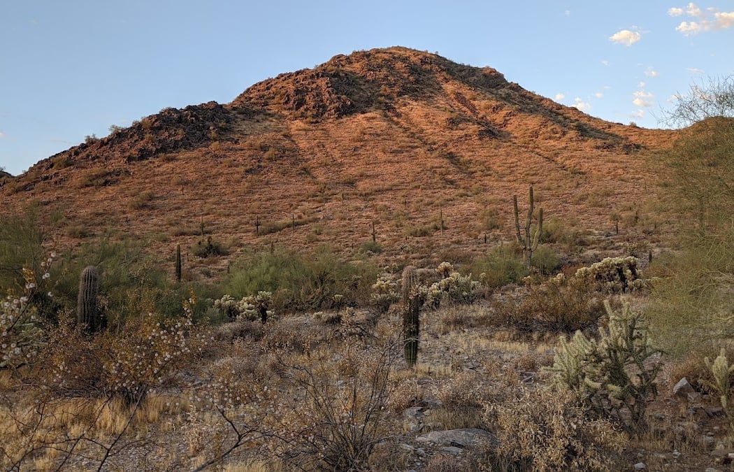 Phoenix Mountains Preserve 2