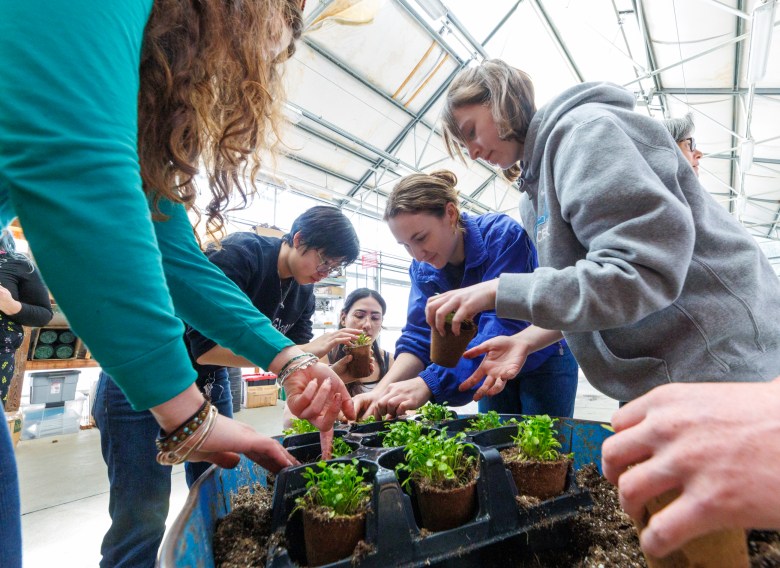 Cultivating Native Edible Landscapes 1