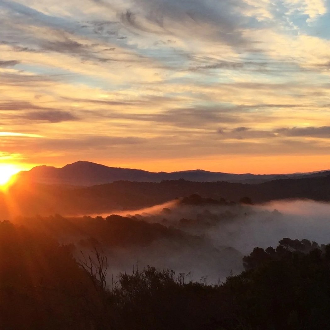 Sunrise Hike in Tilden Park 1