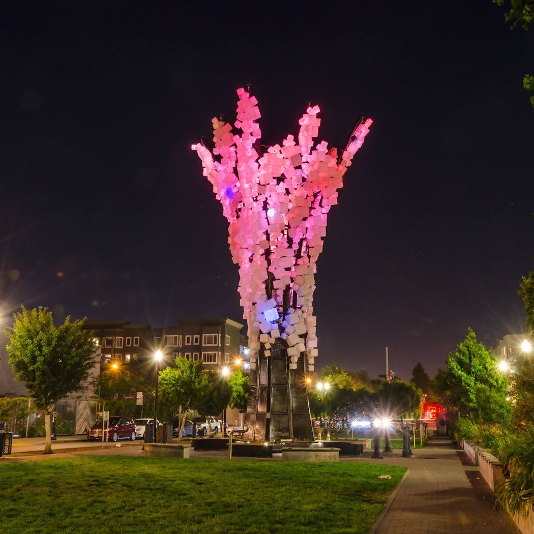 Year-round Markets and Outdoor Movies 1