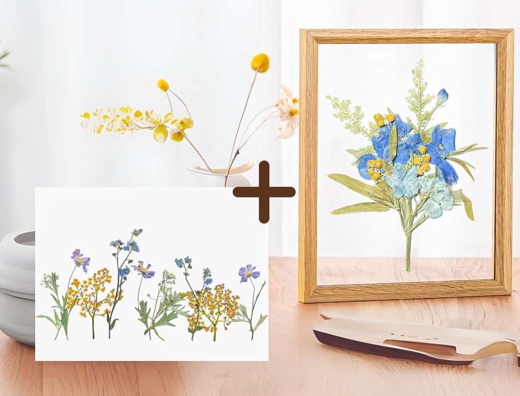 Floral Design: Framed Pressed Flower Art + Cards 1