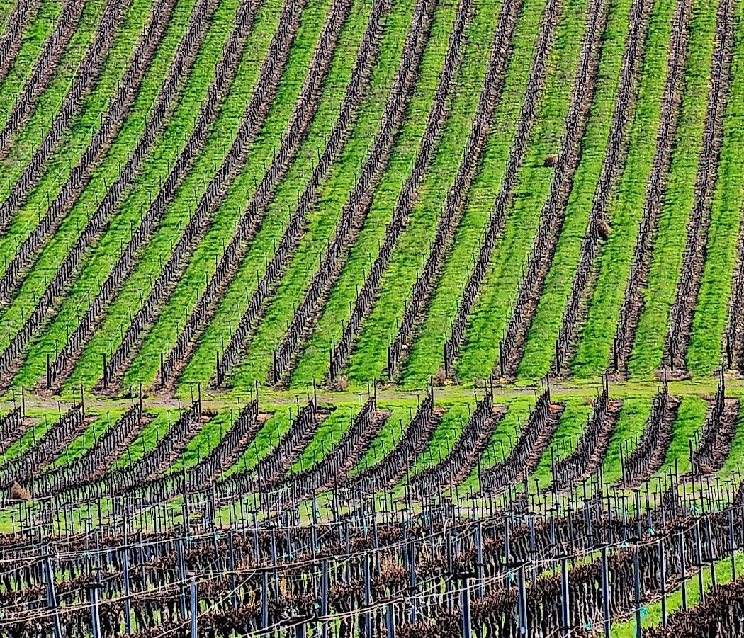 Livermore Valley 3