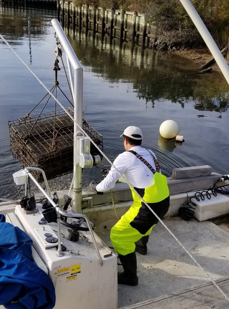 Southold Bay Oysters 3