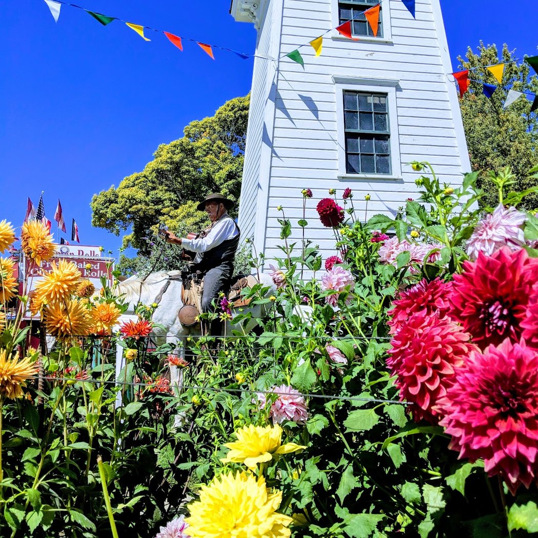 Santa Cruz County Fairgrounds 1