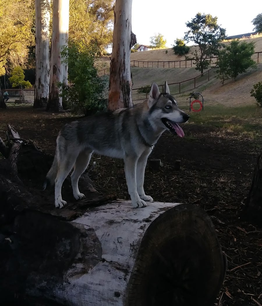 Ohlone Park 1