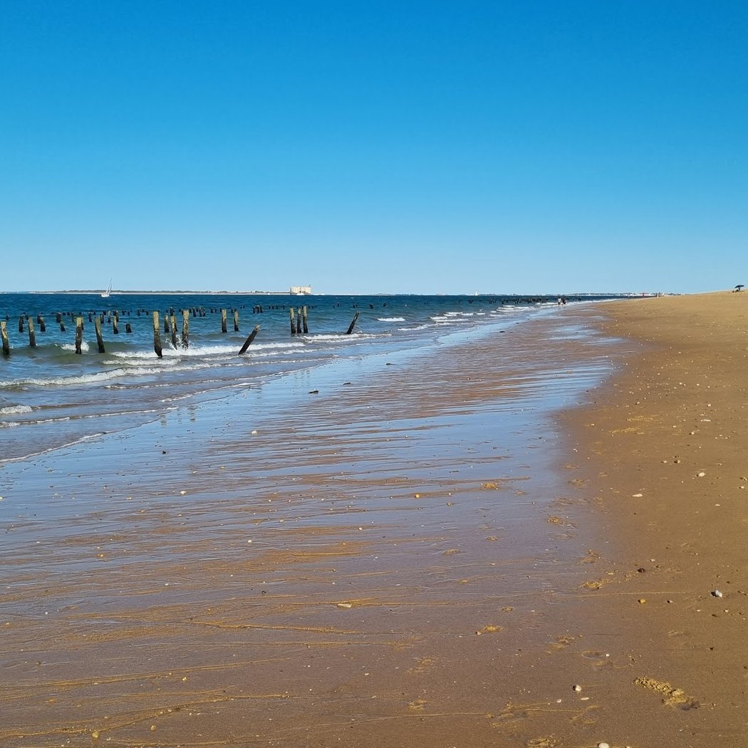 Plage des Saumonards 2