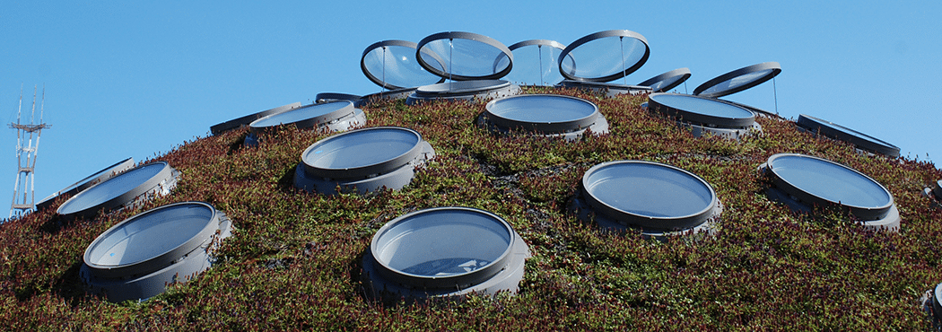 Architectural Treasures in Golden Gate Park: Nature, Art and Science Tour