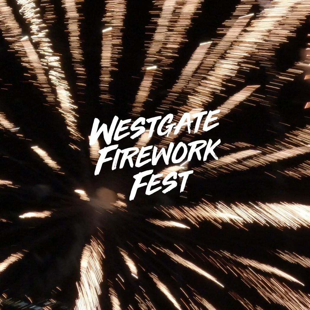 Firework Fest 3
