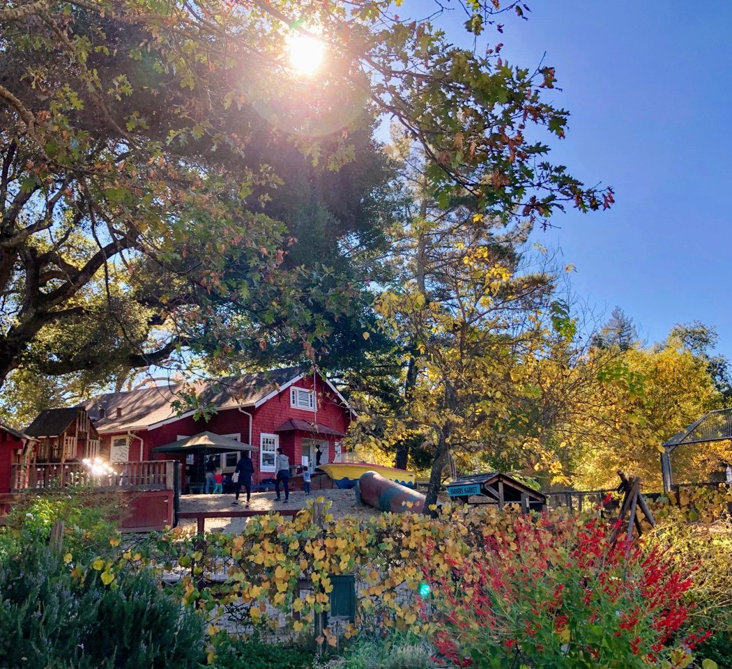 Los Gatos - Saratoga Observation Nursery School (Mountain School) 2