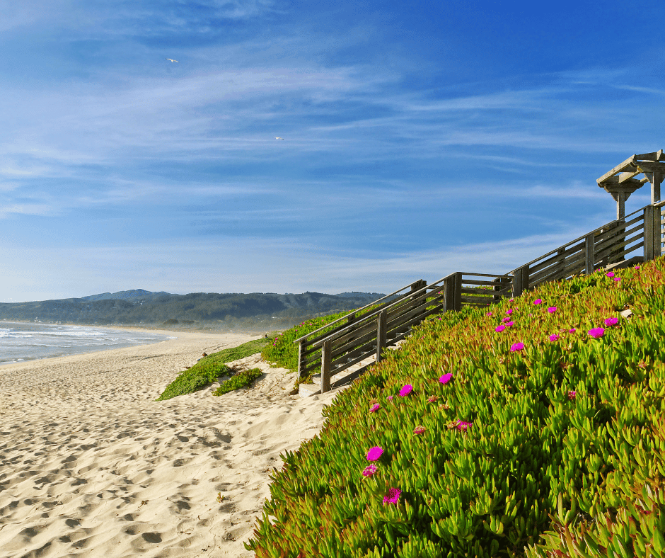 Half Moon Bay 1