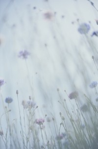 Mikiya Takimoto 2