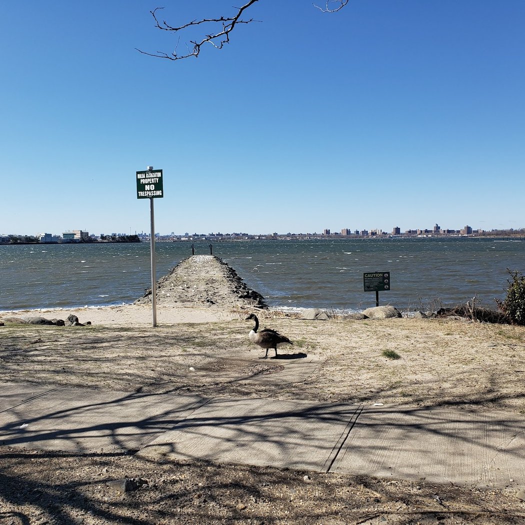 Whitestone 3