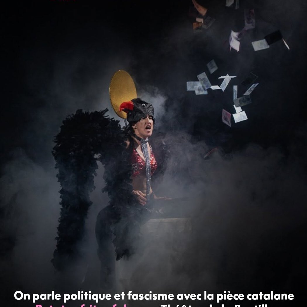 Patatas fritas falsas 1