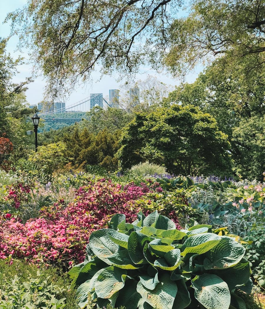 Fort Tryon Park 5