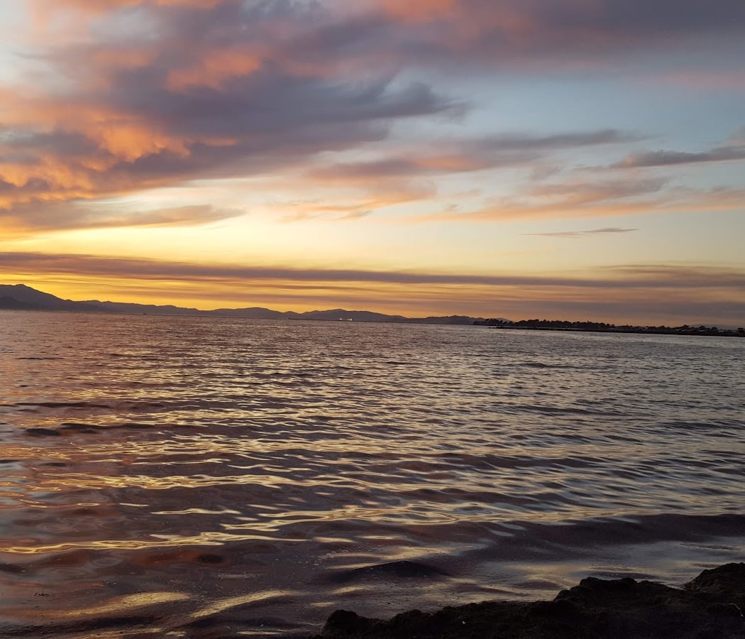 Shorebird Park Emeryville 3