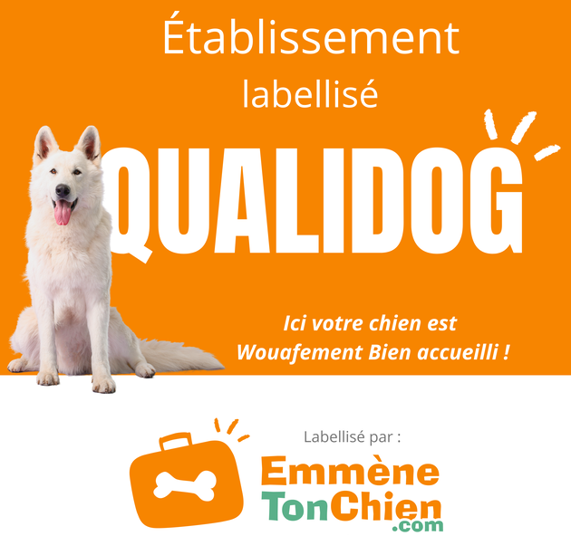 Camping Le Vieux Port - Landes 5