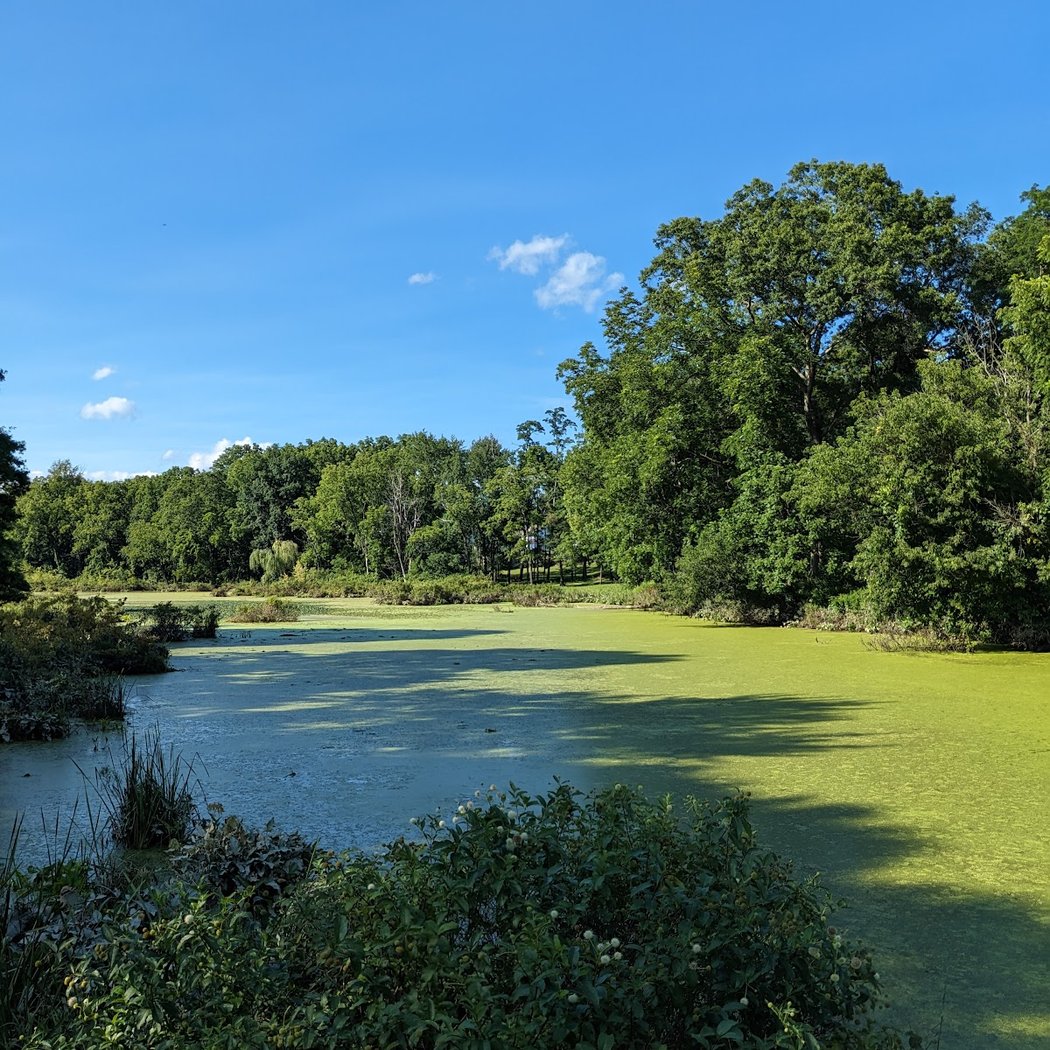Nyquist-Harcourt Wildlife Sanctuary 2