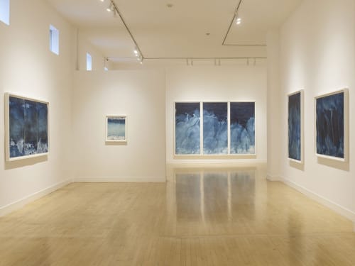 Meghann Riepenhoff: Ice 2
