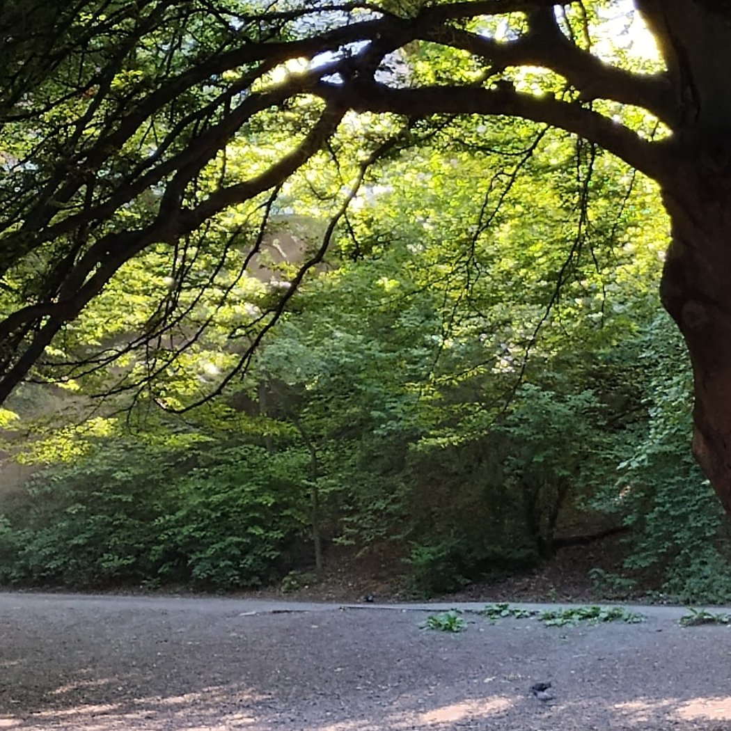 NYC Parks 2