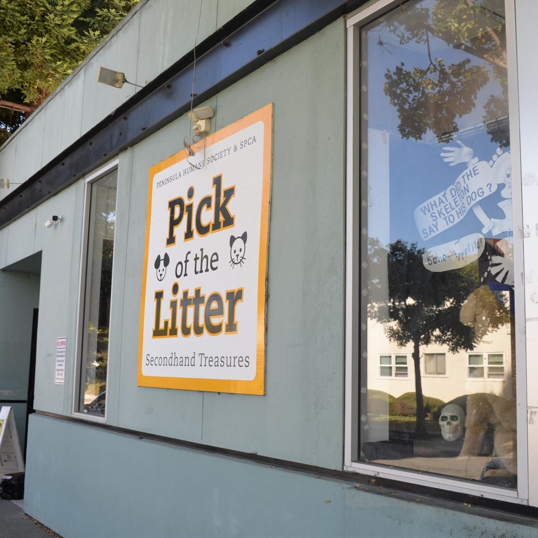 Pick of the Litter Thrift and Gift Shop 2