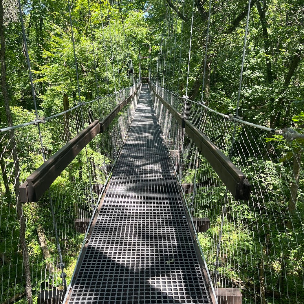Sky Walk 1
