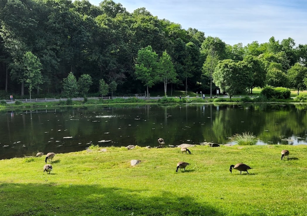 Gedney Park 2