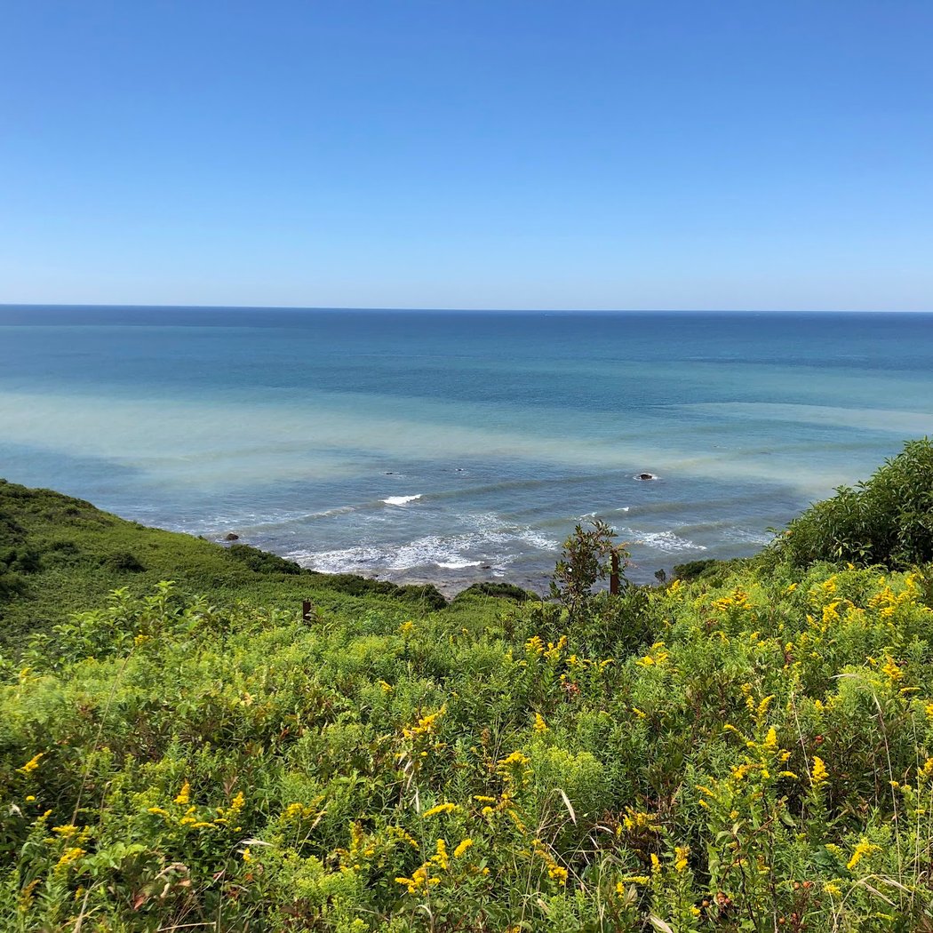 Aquinnah Cliffs Overlook 4