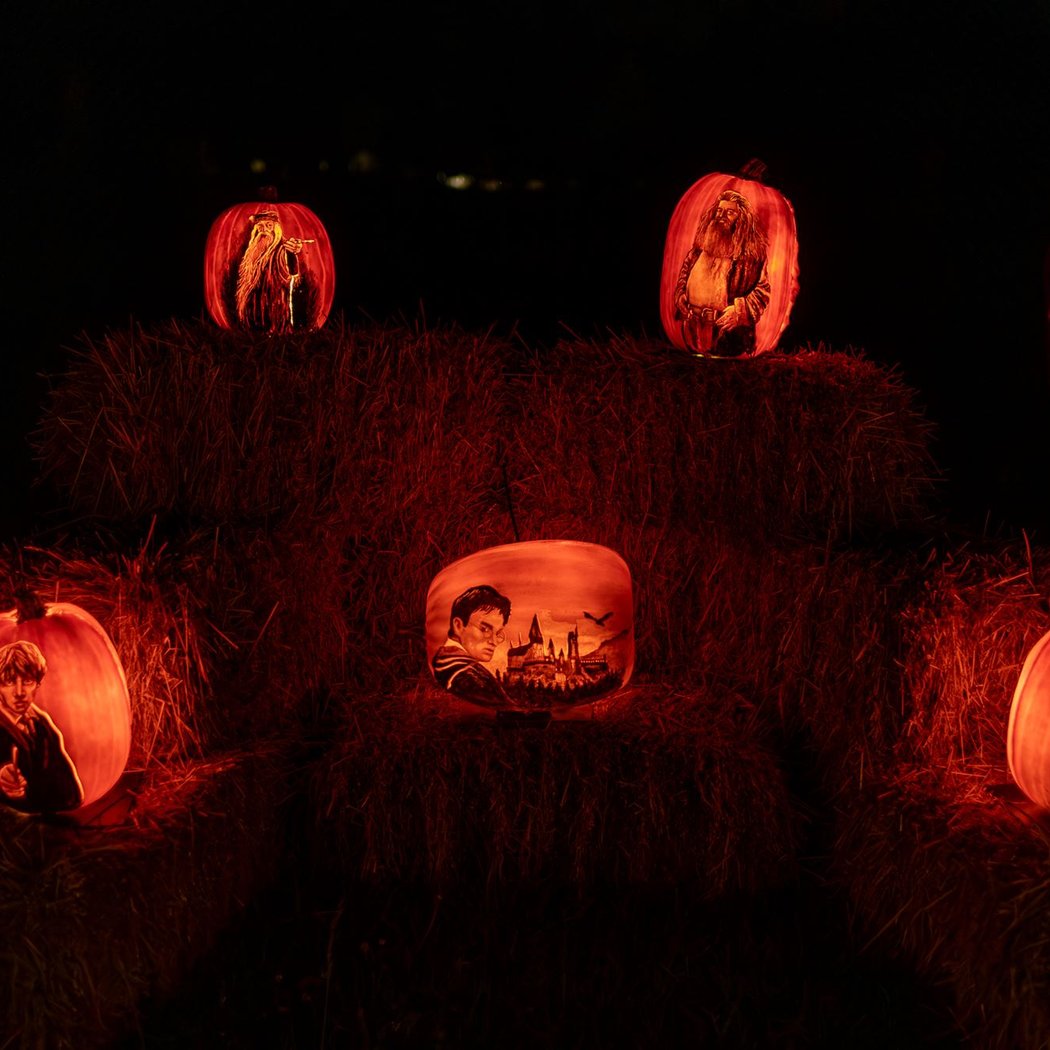 Jack O' Lanterns Unleashed 3