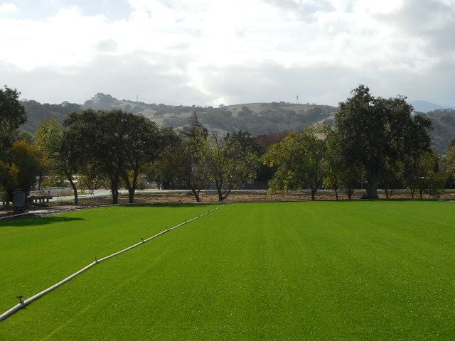 Grass Farm 3