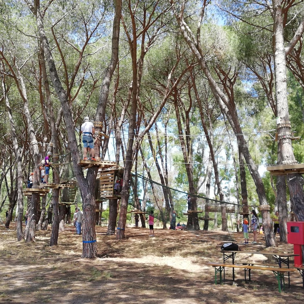 Parco Avventura Fregene 3