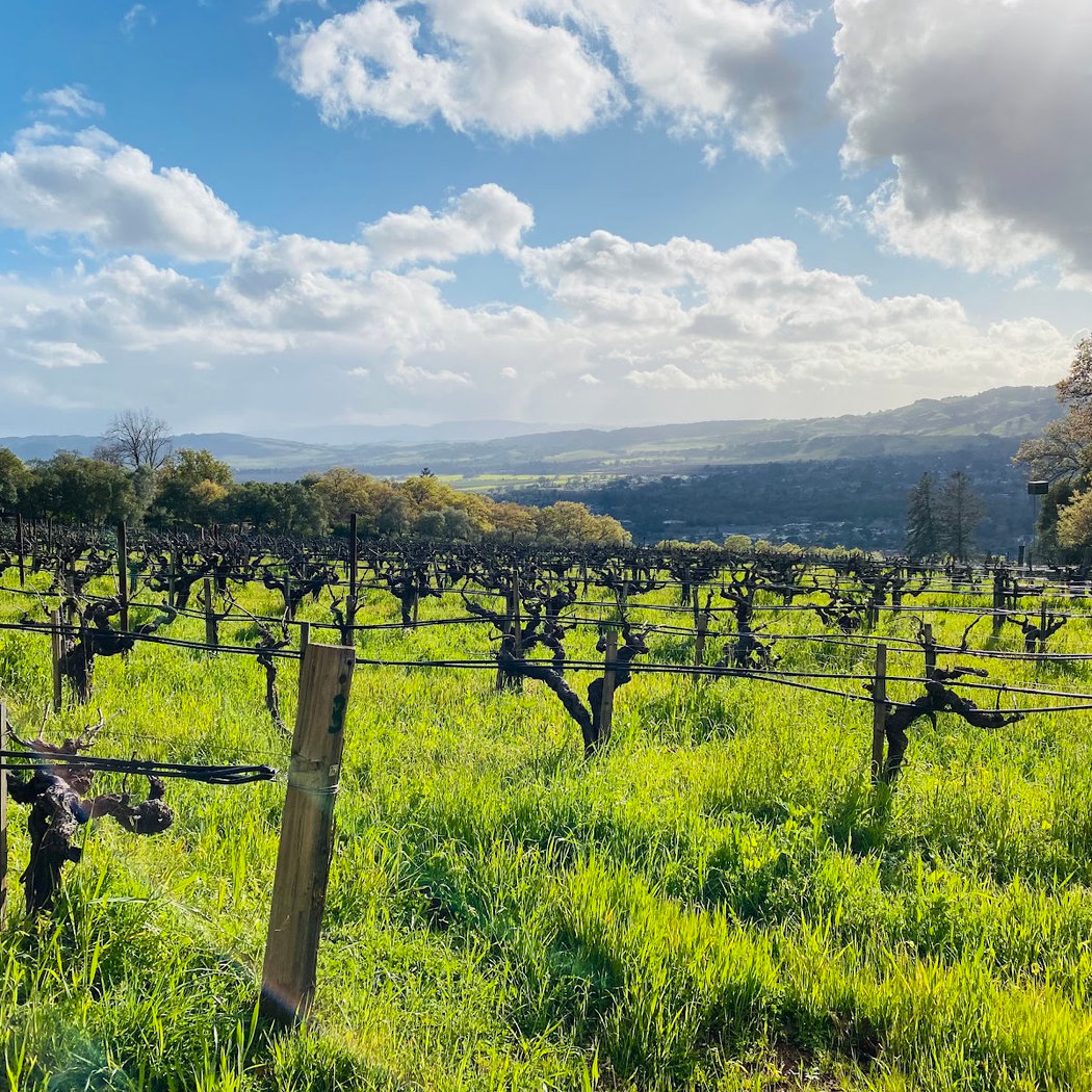 Hanzell Vineyards 3